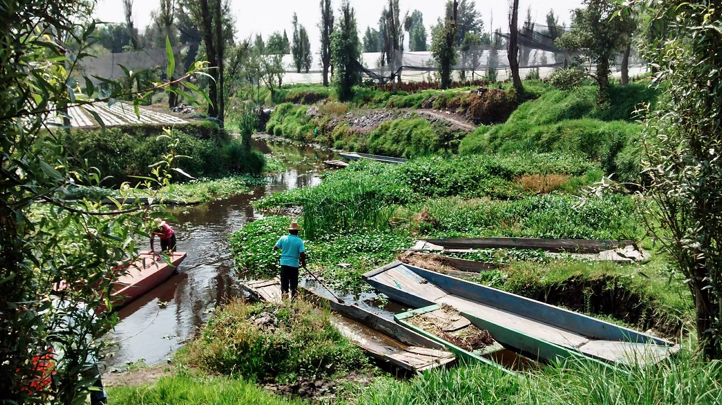 Startups in Mexico City for local agricultural supply